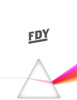 Fdy consulting gmbh