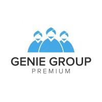 It genie group