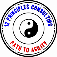 12 principles consulting