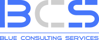 Blue consulting services