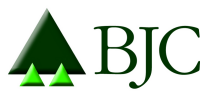 Berli Juker Co., Ltd.