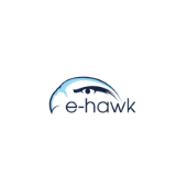 E-hawk