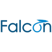 Falcon consulting