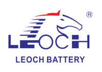 Leoch international technology ltd