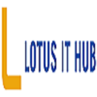 Lotus it hub pune