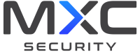 Maximus securities limited