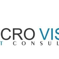Micro vision it consultant