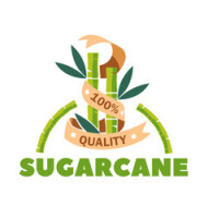 Organic sugarcane products