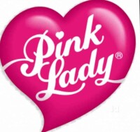 Pink lady lingerie