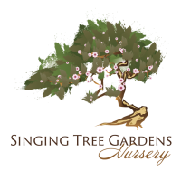 Singing Tree Garden