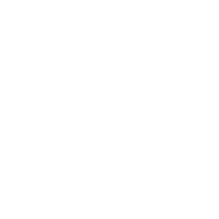 Np visual merchandising