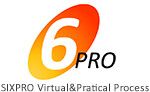 6pro virtual and practical process
