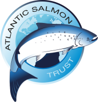 Atlantic salmon trust