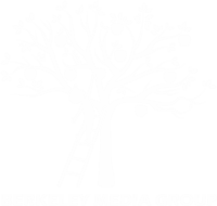 Berkeley media group limited