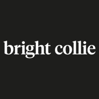 Bright collie