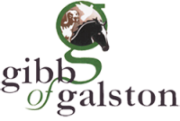 Gibb of galston