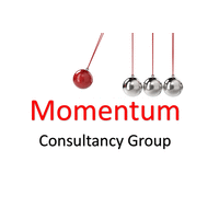 Momentum consultancy group limited