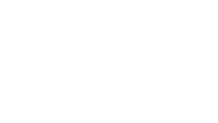 Noah's bark doggy daycare