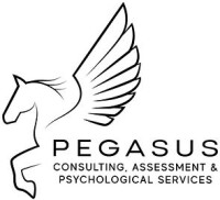 Pegasus consulting support