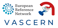 Vascern, european reference network on rare multisystemic vascular diseases