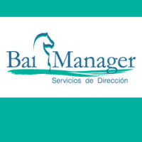 Bai manager servicios de dirección