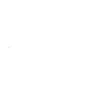 Beetle heritage holding