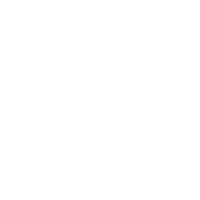 Novoli group
