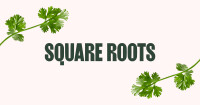 Square roots ltd