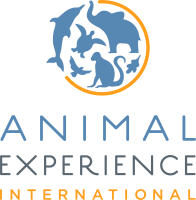 Animal experience international