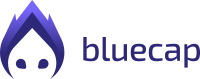 Bluecap partners financial ltd.