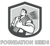 Foundation seeds