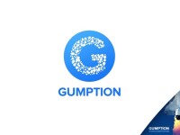 Gumption consulting - managed services and business performance