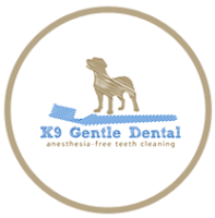 K9 gentle dental