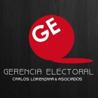 Gerencia electoral consulting