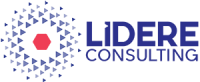 Lidere consulting
