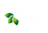 Asg system s.r.l.
