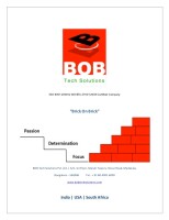 BOB Tech Solutions Pvt Ltd