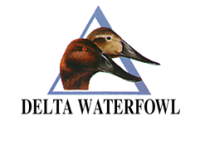Delta waterfowl foundation