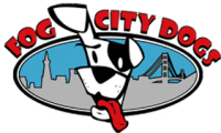 Fog City Dog Lodge and Daycare