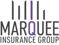 Commercial insurance group llc