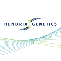 Hendrix genetics