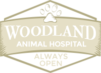 Woodland animal hospital