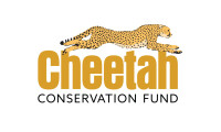 Cheetah conservation fund