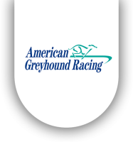 Jacksonville greyhound racing, inc.