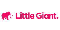 Little giant agency
