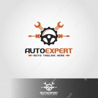 Auto expert