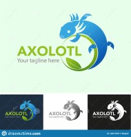 Axolotl corp.