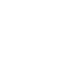 Berman enterprises