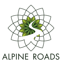 Alpine roads