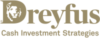 Dreyfus Investment Services Corporation